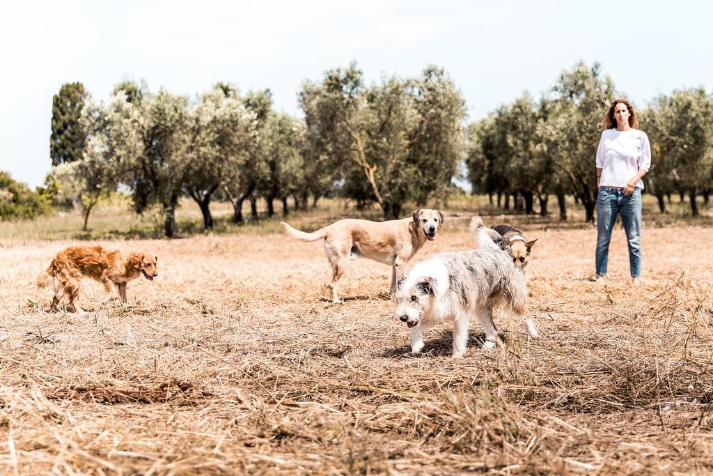 Masseria Prosperi Alimini Exterior photo